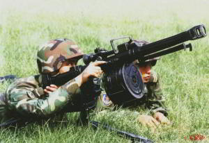 Автоматические гранатомёты: QLZ-87 (Китай) и Mk.47 (США)