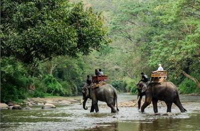 В Таиланде введут туристический сбор