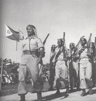 Нееврейские подразделения в армии Израиля