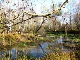 Легенды воронежской земли