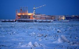 Михельсон допустил появление нового инвестора в &laquo;Арктик СПГ-2&raquo;