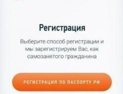 Самозанятые смогут отчислять взносы в ПФР через "Мой налог"