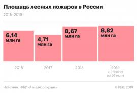 Реакция соцсетей на пожары. Что не так с акцией #СпаситеСибирь