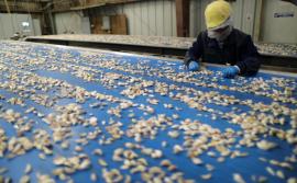 Компании из Китая перестали закупать сельхозпродукцию после угроз Трампа