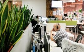 Forbes составил первый российский рейтинг лучших работодателей