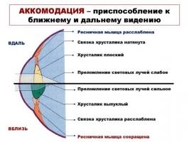 Механические прицелы: типы и особенности