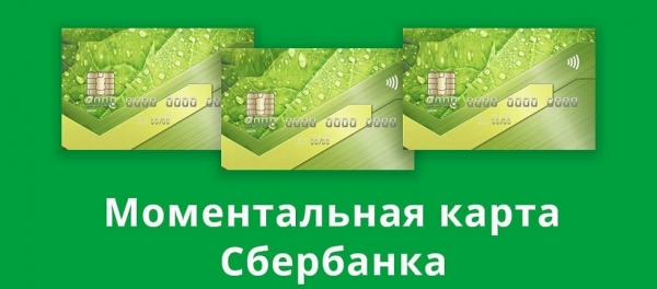 Как оформить займ на карту Моментум: основные правила, преимущества сотрудничества с МФО