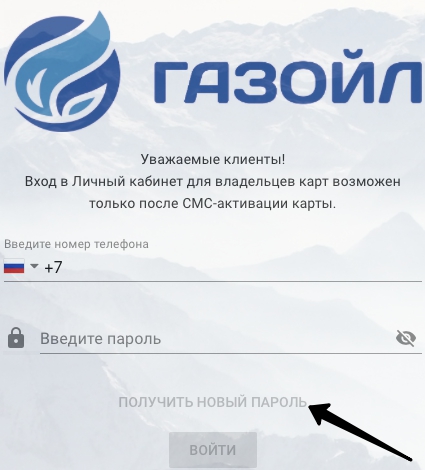 Личный кабинет Газойл: регистрация, авторизация и особенности использования функций