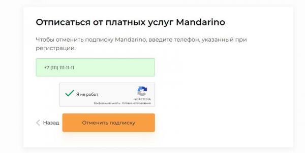 Выбор МФО с помощью Mandarino Займ: требования к заемщику, пошаговый процесс оформления кредита