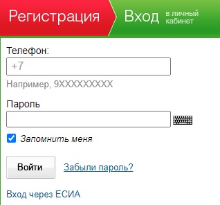 Личный кабинет портала Госуслуги РТ: государственные услуги для жителей Татарстана