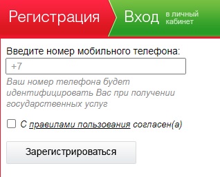 Личный кабинет портала Госуслуги РТ: государственные услуги для жителей Татарстана