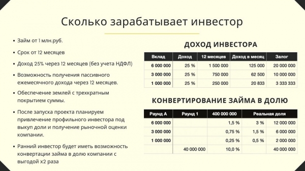 Конвертируемый займ: преимущества и недостатки, условия для инвестора