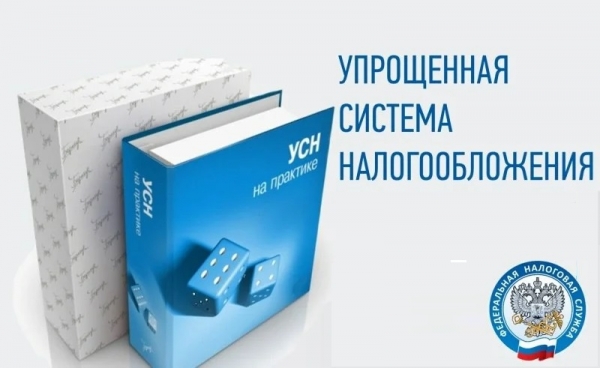 Можно ли считать займы доходом при УСН: законодательные нормы