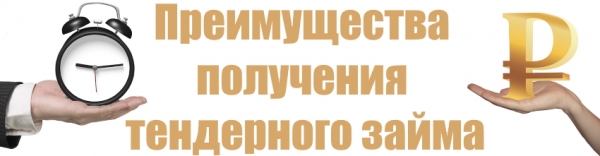 Оформление тендерного займа на исполнение контракта: основные правила, список необходимых документов Оформление тендерного займа на исполнение контракта: основные правила, список необходимых документов