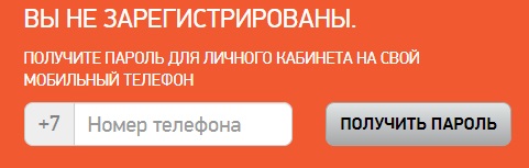 Личный кабинет на сайте lkk.noviten.ru: инструкция для входа, функционал аккаунта