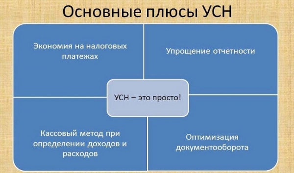 Можно ли считать займы доходом при УСН: законодательные нормы