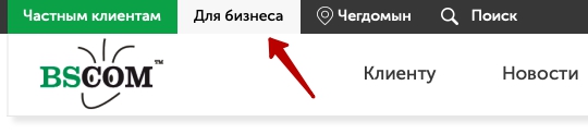 Личный кабинет БСКОМ: подключение, авторизация и управление услугами