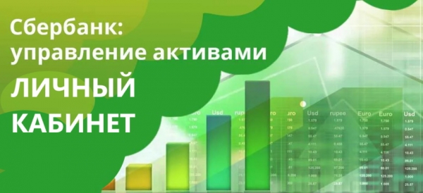 Личный кабинет Сбербанк управление активами: регистрация аккаунта, использование мобильного приложения