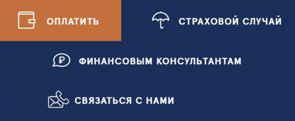 Личный кабинет ППФ Страхование жизни: как зарегистрироваться и пользоваться