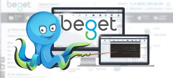 Личный кабинет Бегет: как регистрироваться, авторизоваться и пользоваться услугами хостинг-провайдера