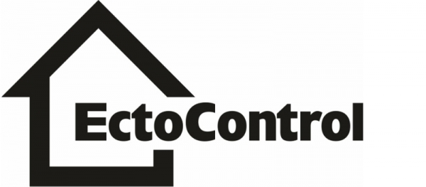 Личный кабинет Ectocontrol: алгоритм регистрации, возможности системы