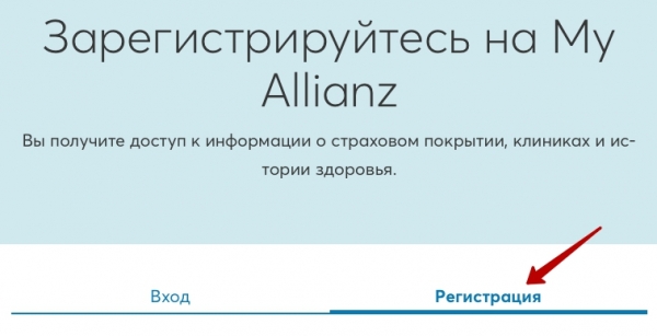 Пошаговые инструкции по ЛК компании Альянс