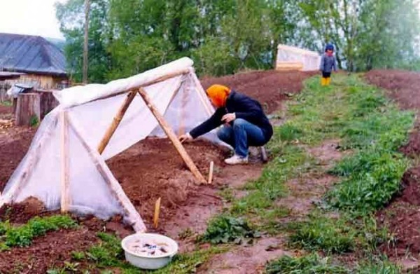 Как сделать парник: 8 конструкций и море идей