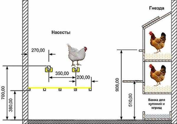 Курятник внутри: что необходимо и как сделать